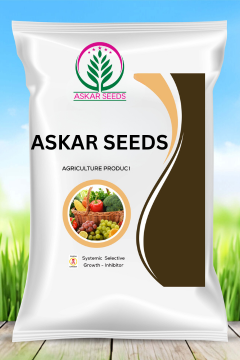 Askar 300